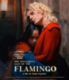 弗拉明戈的神秘眼神 La misteriosa mirada del flamenco            (2025)弗拉明戈的神秘眼神 La misteriosa mirada del flamenco            (2025)