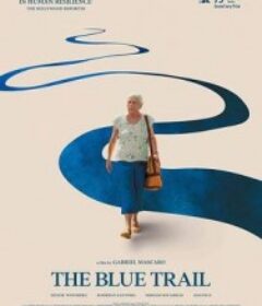 天空的另一面 O Último Azul            (2025)天空的另一面 O Último Azul            (2025)