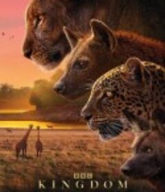 动物王国 Kingdom            (2025)动物王国 Kingdom            (2025)