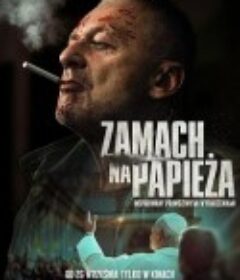 教皇行动 Zamach na papieza            (2025)教皇行动 Zamach na papieza            (2025)