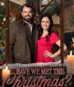 圣诞若只如初见 Have We Met This Christmas?            (2025)圣诞若只如初见 Have We Met This Christmas?            (2025)