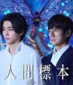人类标本 人間標本            (2025)人类标本 人間標本            (2025)
