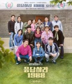 请回答1988 十周年MT 응답하라 1988 10주년MT            (2025)请回答1988 十周年MT 응답하라 1988 10주년MT            (2025)