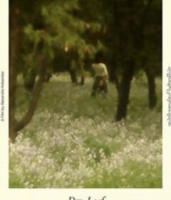 落叶球 ხმელი ფოთოლი            (2025)落叶球 ხმელი ფოთოლი            (2025)