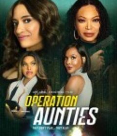 行动：阿姨们 Operation: Aunties            (2025)行动：阿姨们 Operation: Aunties            (2025)