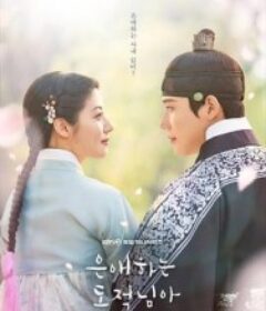 亲爱的盗贼大人 은애하는 도적님아            (2026)亲爱的盗贼大人 은애하는 도적님아            (2026)