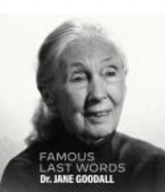 最后一席话：珍·古道尔博士 Famous Last Words: Dr. Jane Goodall            (2025)最后一席话：珍·古道尔博士 Famous Last Words: Dr. Jane Goodall            (2025)