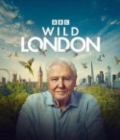 狂野伦敦 Wild London            (2026)狂野伦敦 Wild London            (2026)