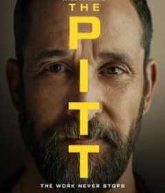 匹兹堡医护前线 第二季 The Pitt Season 2            (2026)匹兹堡医护前线 第二季 The Pitt Season 2            (2026)