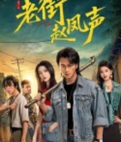 老街赵凤声            (2026)老街赵凤声            (2026)