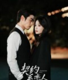 契约系恋人            (2025)契约系恋人            (2025)
