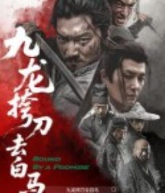 九龙挎刀去白马            (2025)九龙挎刀去白马            (2025)