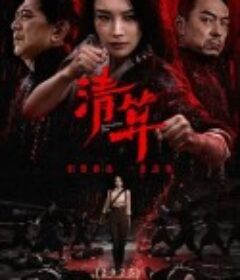 清算            (2025)清算            (2025)