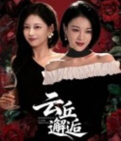 云丘邂逅            (2025)云丘邂逅            (2025)