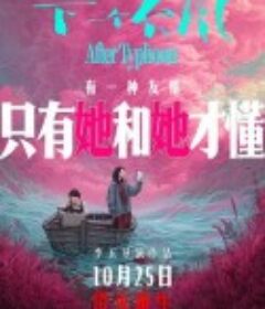 下一个台风            (2025)下一个台风            (2025)