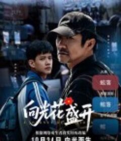 向光花盛开            (2025)向光花盛开            (2025)