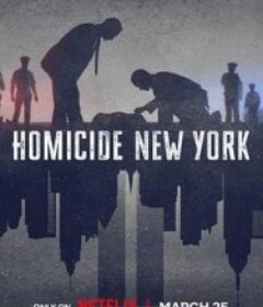 凶杀重案实录：纽约 第二季 Homicide: New York Season 2            (2026)凶杀重案实录：纽约 第二季 Homicide: New York Season 2            (2026)