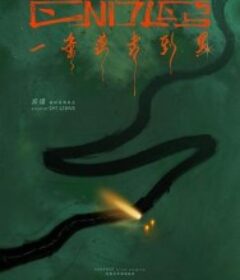 一条道走到黑            (2024)一条道走到黑            (2024)