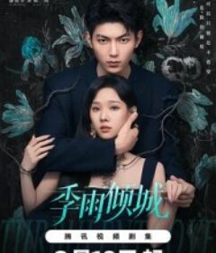 季雨倾城            (2026)季雨倾城            (2026)