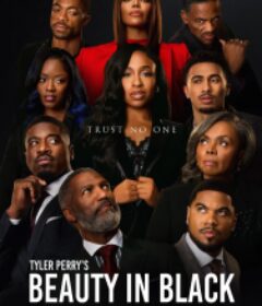 黑色丽人 第三季 Beauty in Black Season 3            (2026)黑色丽人 第三季 Beauty in Black Season 3            (2026)