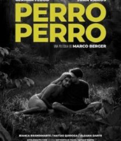 狗狗 Perro Perro            (2025)狗狗 Perro Perro            (2025)