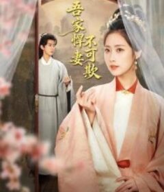 吾家悍妻不可欺            (2026)吾家悍妻不可欺            (2026)