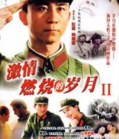 激情燃烧的岁月2            (2004)激情燃烧的岁月2            (2004)