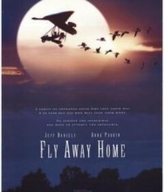 伴你高飞 Fly Away Home            (1996)伴你高飞 Fly Away Home            (1996)
