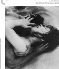 砂之女 砂の女            (1964)砂之女 砂の女            (1964)