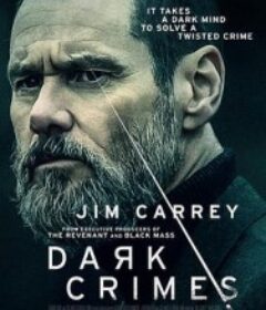 真实犯罪 Dark Crimes            (2016)真实犯罪 Dark Crimes            (2016)