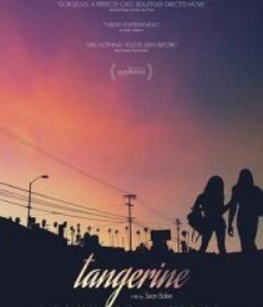 橘色 Tangerine            (2015)橘色 Tangerine            (2015)
