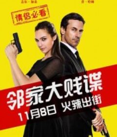 邻家大贱谍 Keeping Up with the Joneses            (2016)
