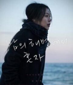 独自在夜晚的海边 밤의 해변에서 혼자            (2017)