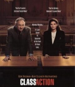 审判终结 Class Action            (1991)