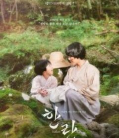 寒兰 한란            (2025)