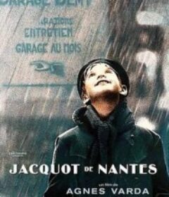 南特的雅克·德米 Jacquôt de Nantes            (1991)