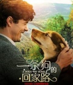 一条狗的回家路 A Dog's Way Home            (2019)
