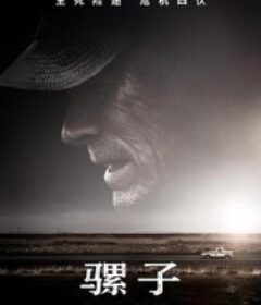 骡子 The Mule            (2018)