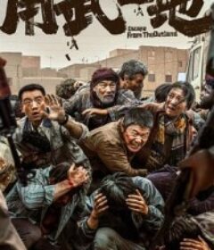 用武之地            (2025)