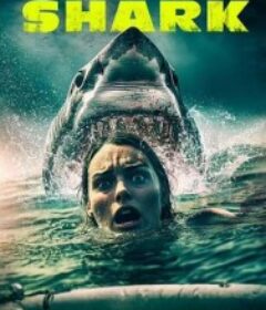 得州狂鲨 Lone Star Shark            (2025)