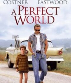 完美的世界 A Perfect World            (1993)