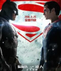 蝙蝠侠大战超人：正义黎明 Batman v Superman: Dawn of Justice            (2016)