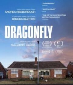 危情蜻蜓 Dragonfly            (2025)