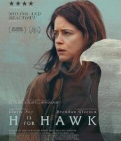 以鹰之名 H Is For Hawk            (2025)