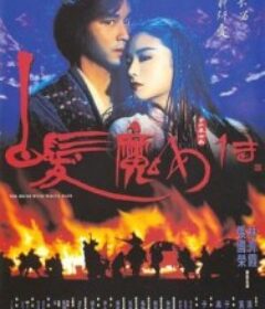 白发魔女传 白髮魔女傳            (1993)