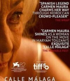 马拉加街夕阳红 Calle Malaga            (2025)
