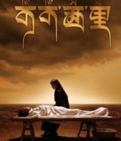 可可西里            (2004)