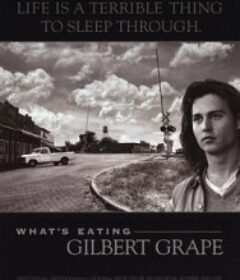 不一样的天空 What's Eating Gilbert Grape            (1993)