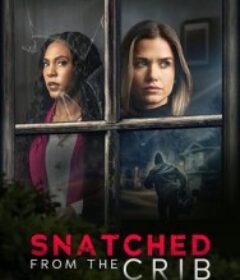 摇篮劫婴 Snatched from the Crib            (2025)