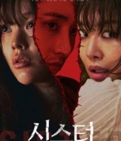 姐妹 시스터            (2026)